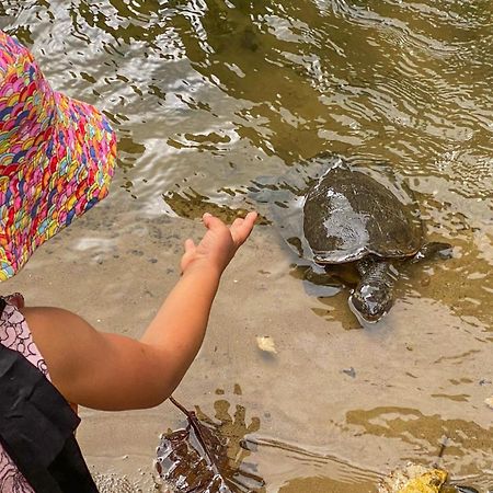 Tasman Holiday Parks - Cairns Cool Waters Екстер'єр фото