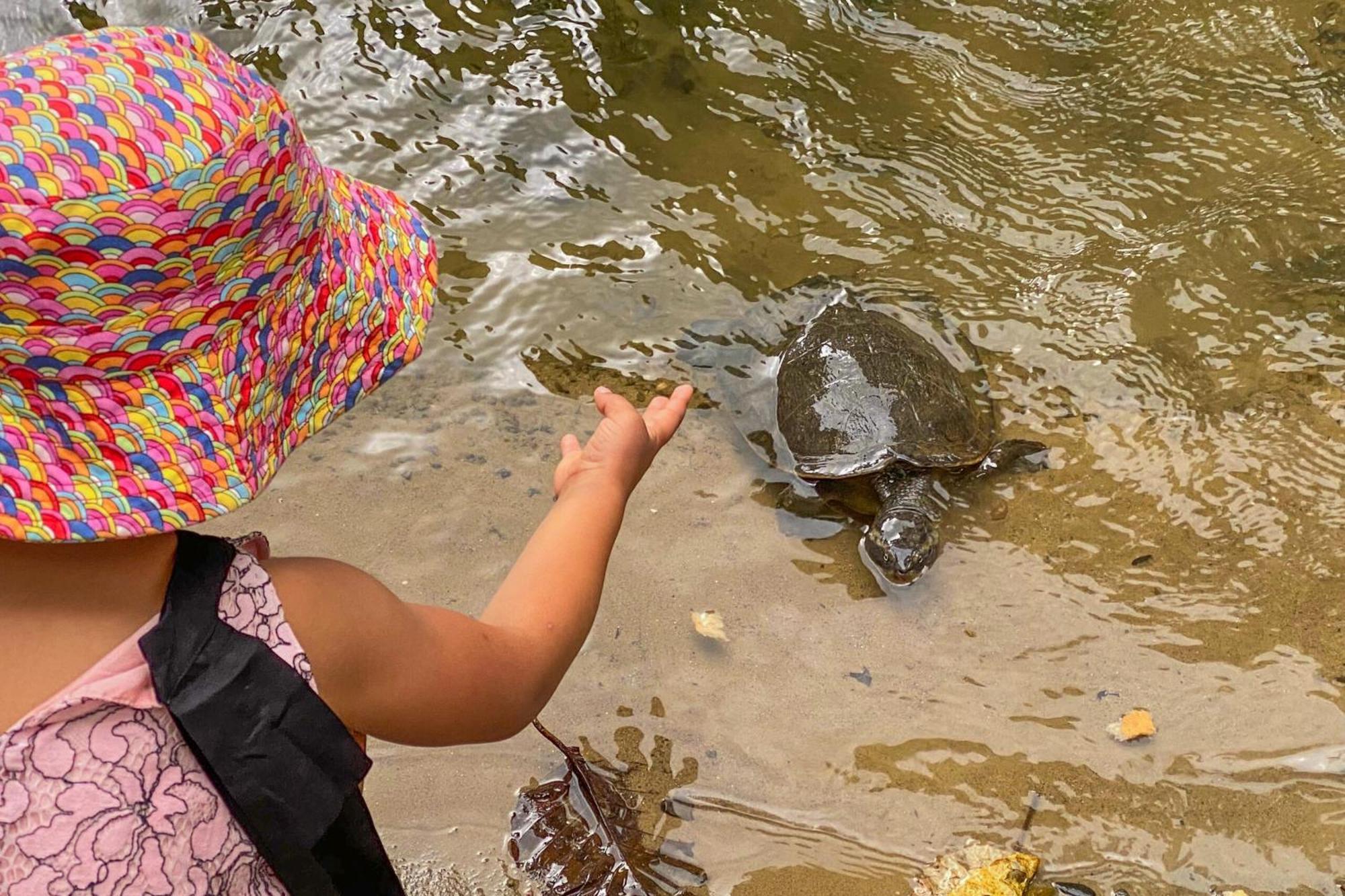 Tasman Holiday Parks - Cairns Cool Waters Екстер'єр фото